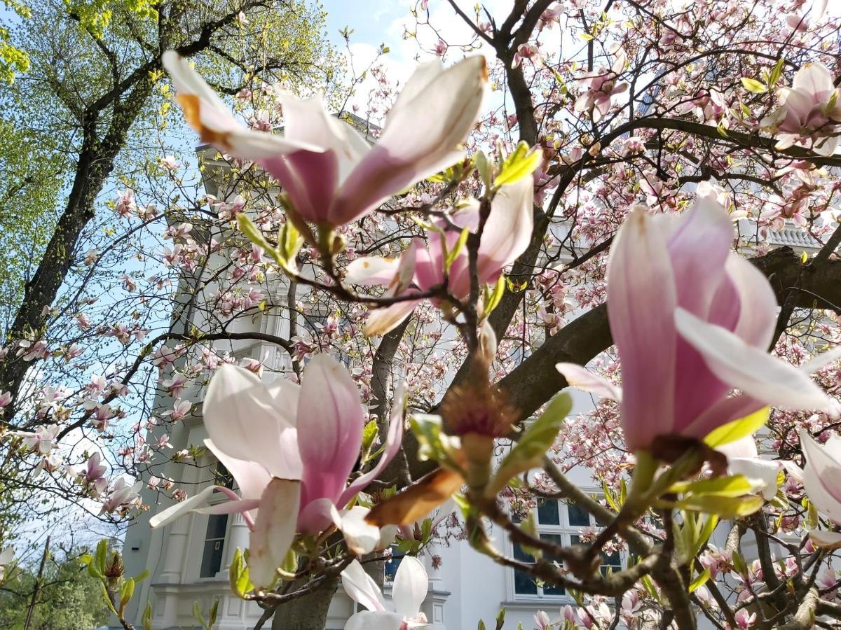 브로츠와프 Stara Biblioteka B&B 외부 사진